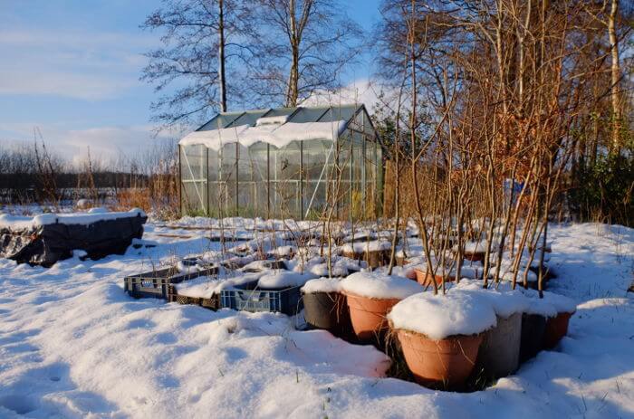 Sneeuw Sneeuw